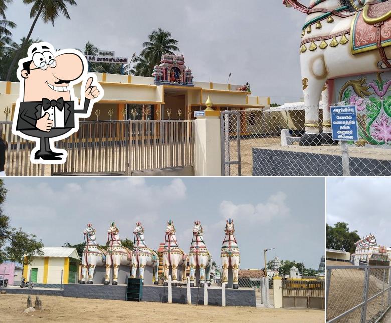 Palani kanagampatti
