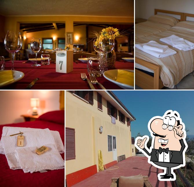 il rifugio del contadino casa di campagna - Cibo Arte Territorio Ospitalità