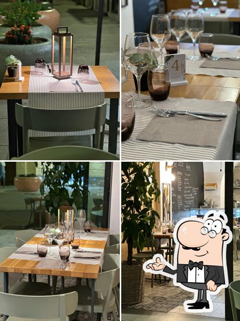 Saludu - Food and Mood