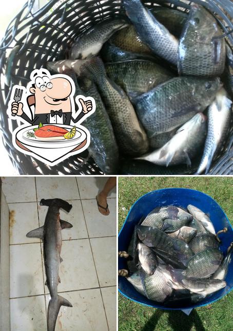 Pesqueiro Do Lourenço