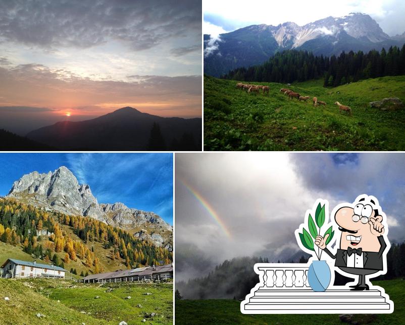 Gli esterni di Malga Tuena