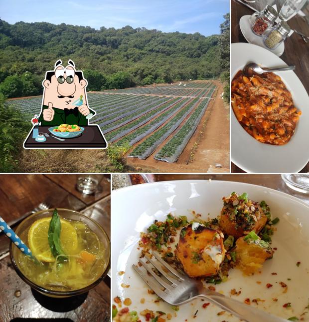 Meals at Farmhouse Bistro Restaurant