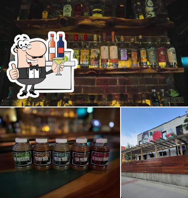 Coa Cantina in Des Moines Restaurant reviews
