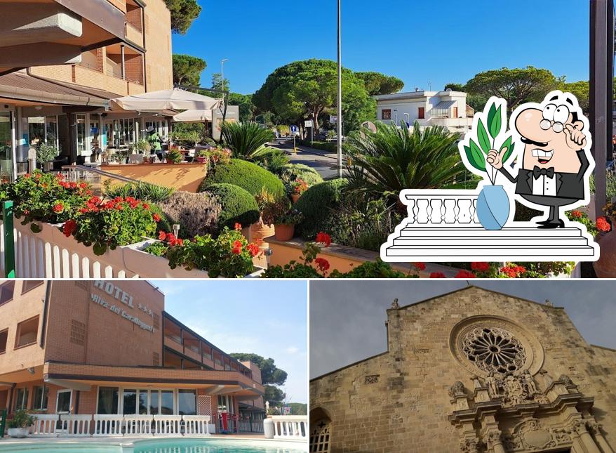 Curiosa tra la parte esterna di Hotel Riva dei Cavalleggeri
