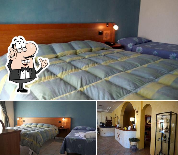 Dai un'occhiata agli interni di Hotel pino loricato