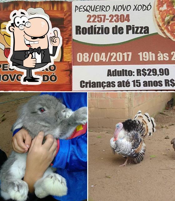 Pesqueiro Novo Xodó, Brasil, Br 040km 36 Avaliações de restaurantes