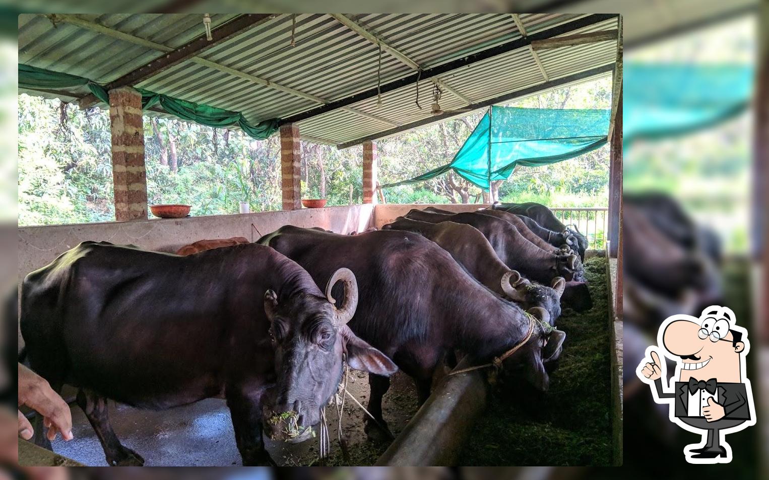 Sarvesh Dairy Farm