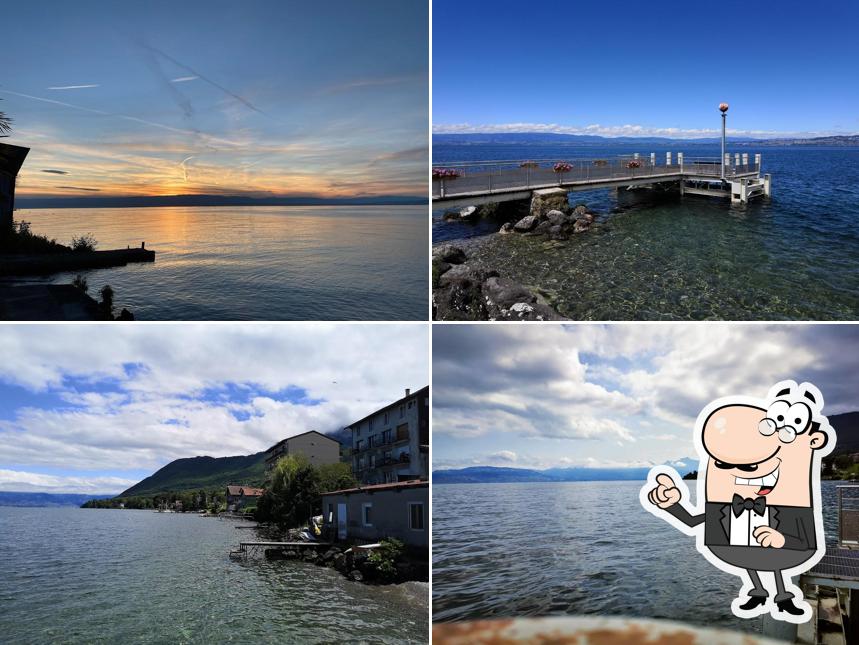 Les Reflets du Lac