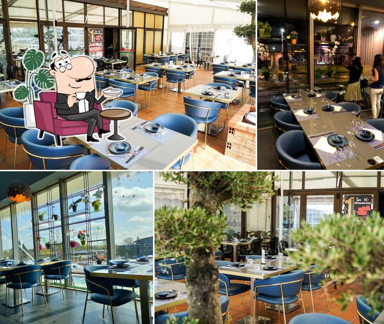 Lin - Ristorante Sushi e Cinese