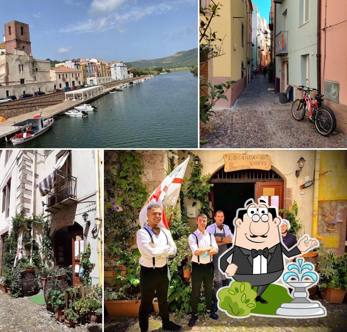 Curiosa tra gli esterni di Locanda di Corte Trattoria