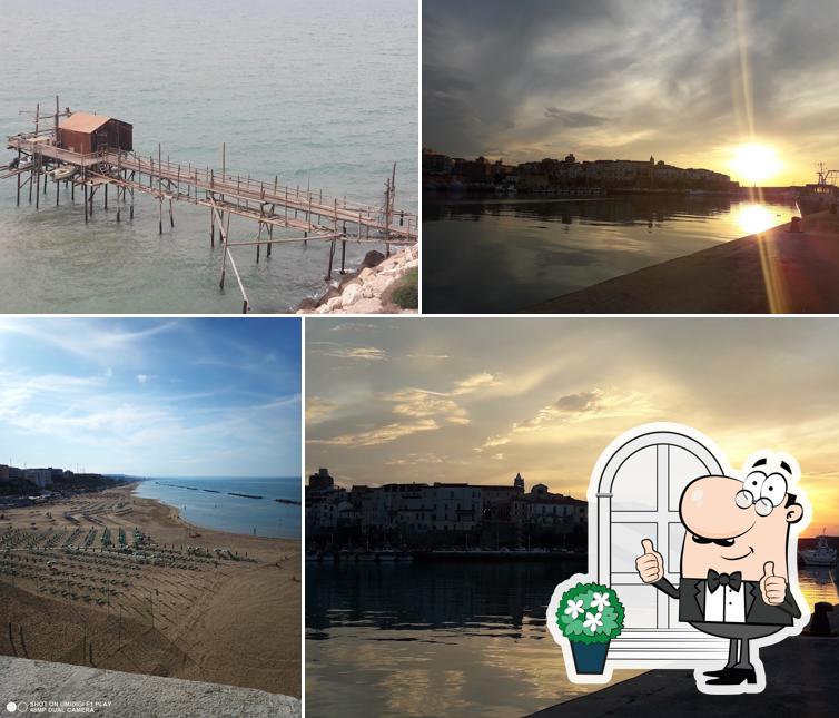 Guarda gli esterni di Mercato Ittico di Termoli