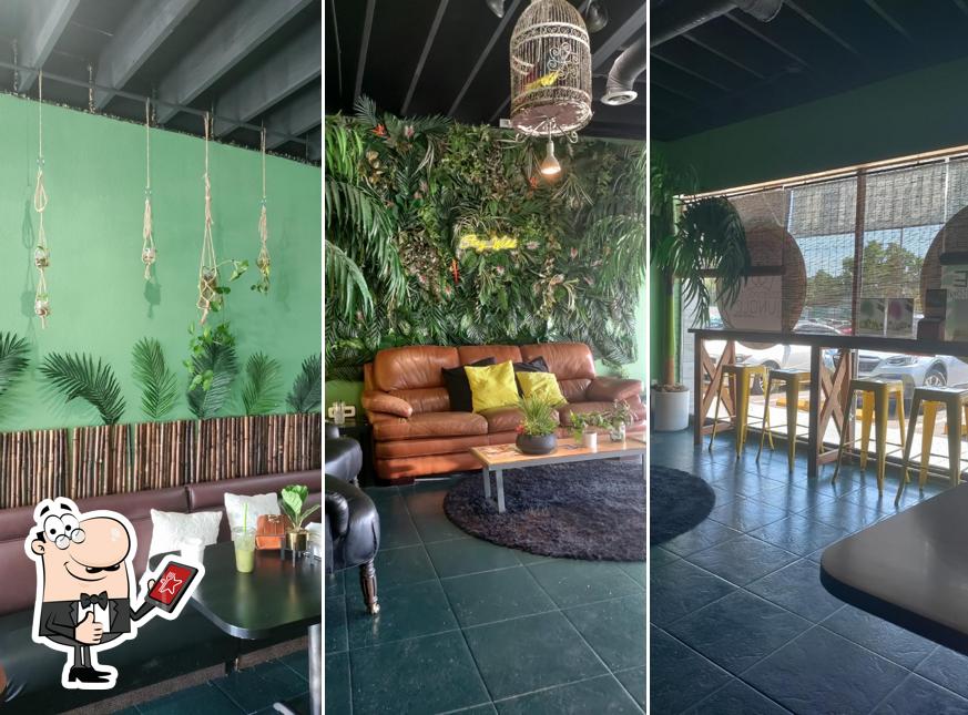 The Jungle Dunedin in Dunedin Restaurant menu and reviews