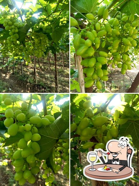 Bharat Pore Grapes Farm