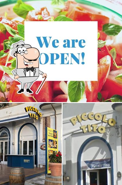 Piccolo Tito si caratterizza per la esterno e cibo