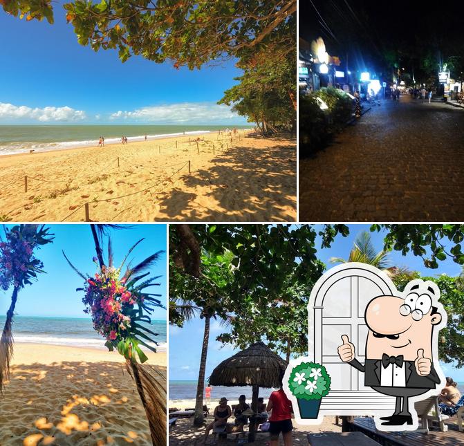 Coco Brasil