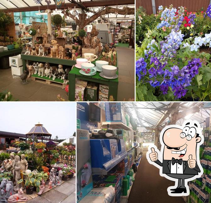 Bardills Garden Centre, Toton Ln. in Nottingham Restaurant reviews