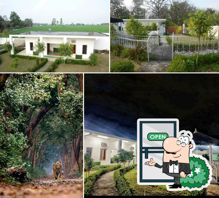 DTR Jungle Hideaways in Dudhwa hotel / Dudhwa Resort, Kishanpur Zone, Dudhwa TR