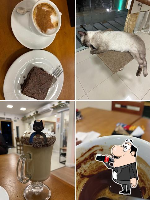 Gato de Praia Cat Café