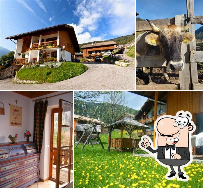 Agritur Ciasa dò Parè • Azienda agricola, appartamenti, fattoria didattica, osteria contadina