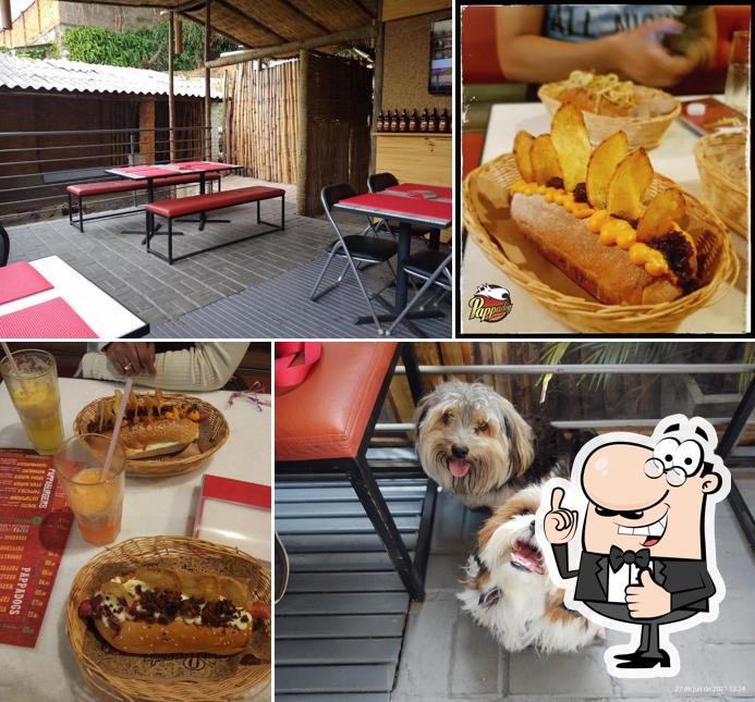 Look at this image of Pappadog Bar