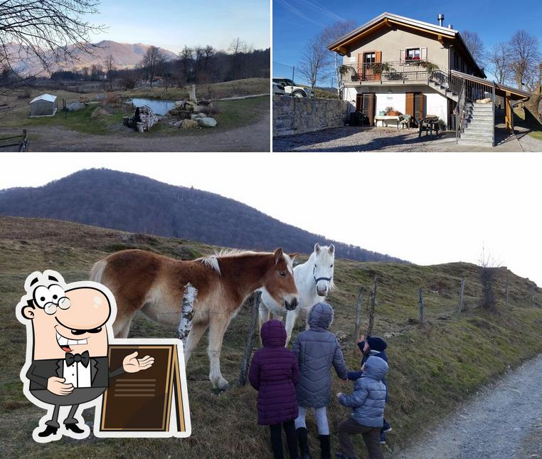 Gli esterni di Azienda Agricola Alpe Lissiga