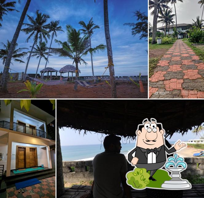 Enjoy the view outside Coconut Cove Beach Resort , Varkala