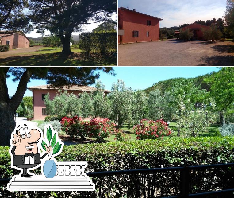 Puoi goderti l'aria fresca dal dehors di Agriturismo Fusini