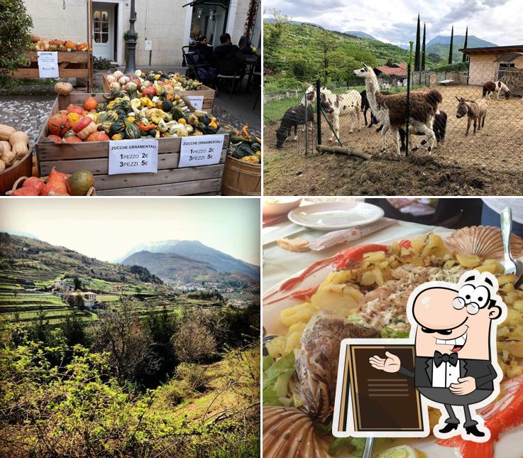Gli esterni di Ristorante Tipico Tre Roveri