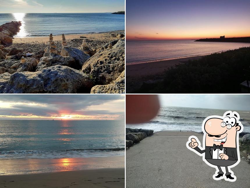 Bar de La Plage - Chef de Baie - La Rochelle