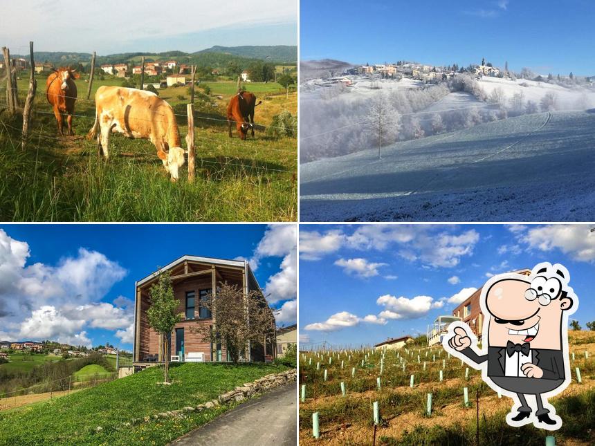 Gli esterni di Agriturismo "Il cielo di Strela" di Mario Marini - Azienda agricola biologica