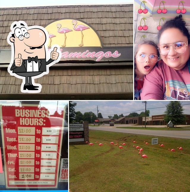 3 Flamingos Frozen Yogurt and Boba Tea(DINE IN OPEN) in Cabot