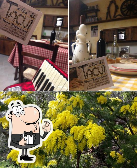 Vedi questa foto di A Ca' di Tacui - Home Restaurant