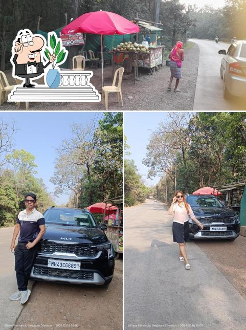 Hotel Wild Elite Maggie Point in forest (Pitstop)