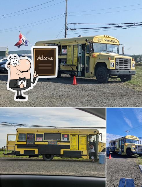 Tom's Cool Bus Canteen