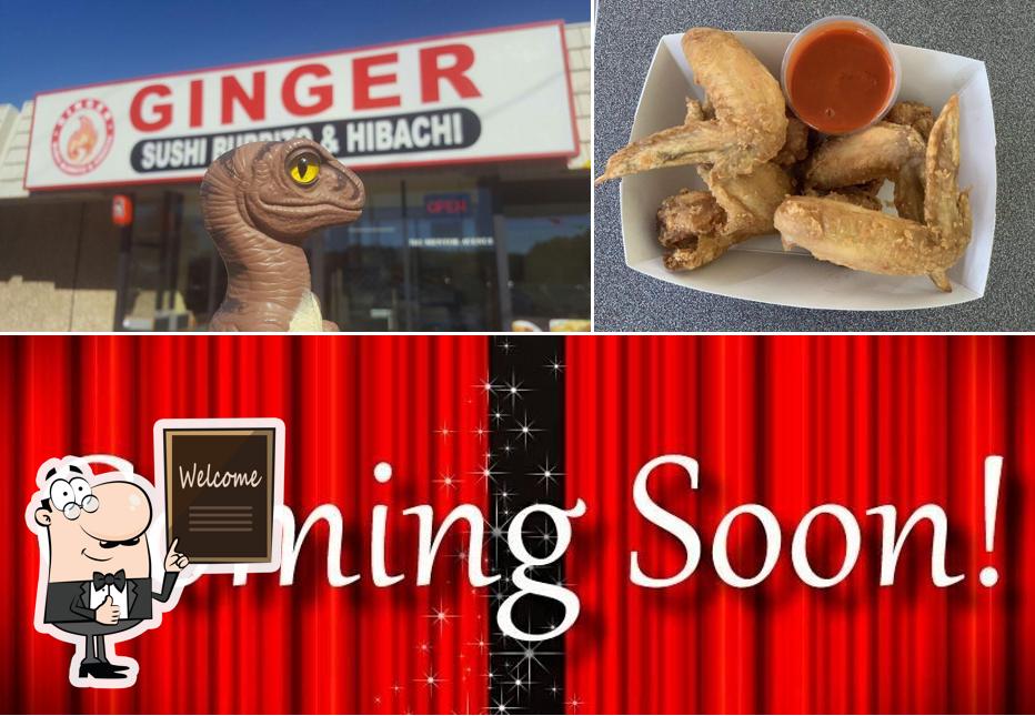 Ginger Sushi Burrito in Mentor Restaurant menu and reviews