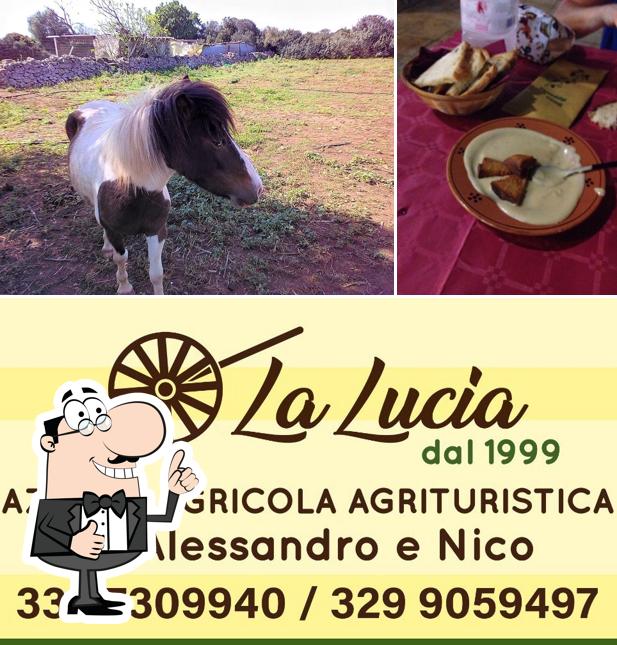 Regarder l'image de Farmhouse La Lucia