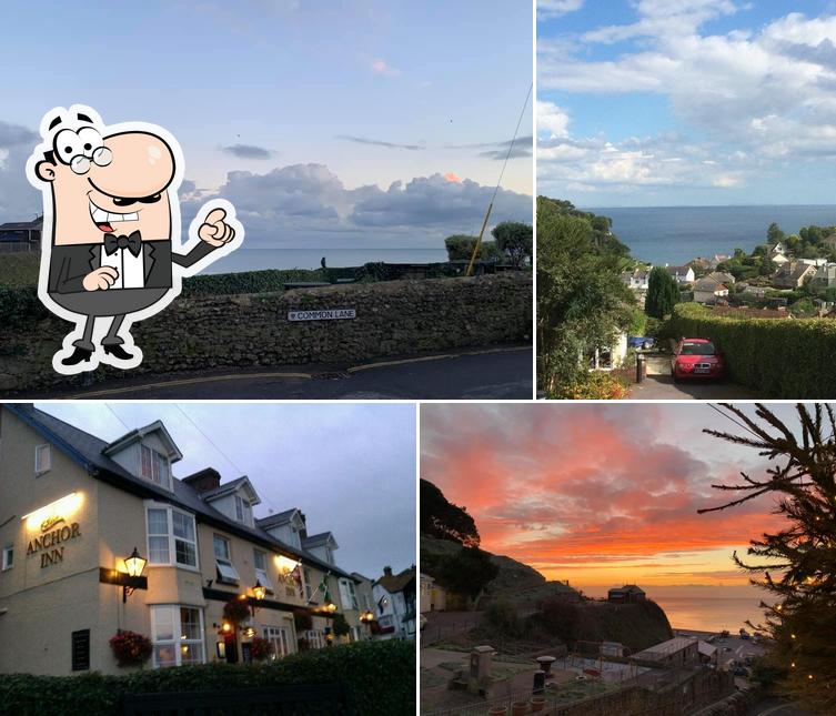 Anchor Inn in Beer Restaurant menu and reviews