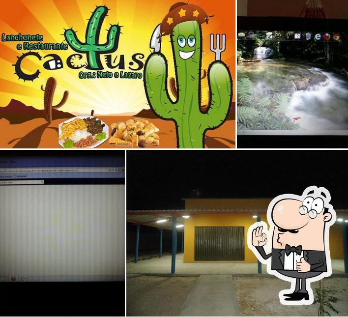 Lanchonete Cactus