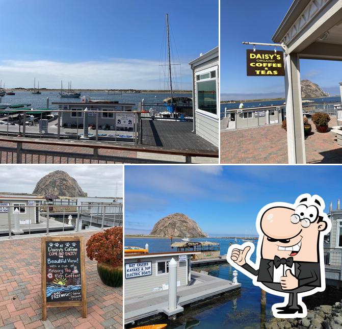 Daisy's Organic Coffee & Tea in Morro Bay Restaurant menu and reviews