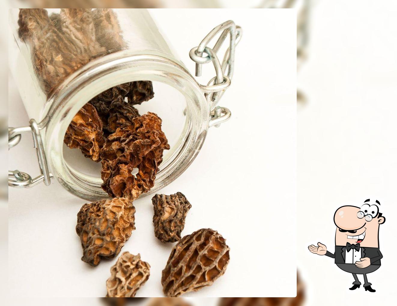 GoldMorels.com