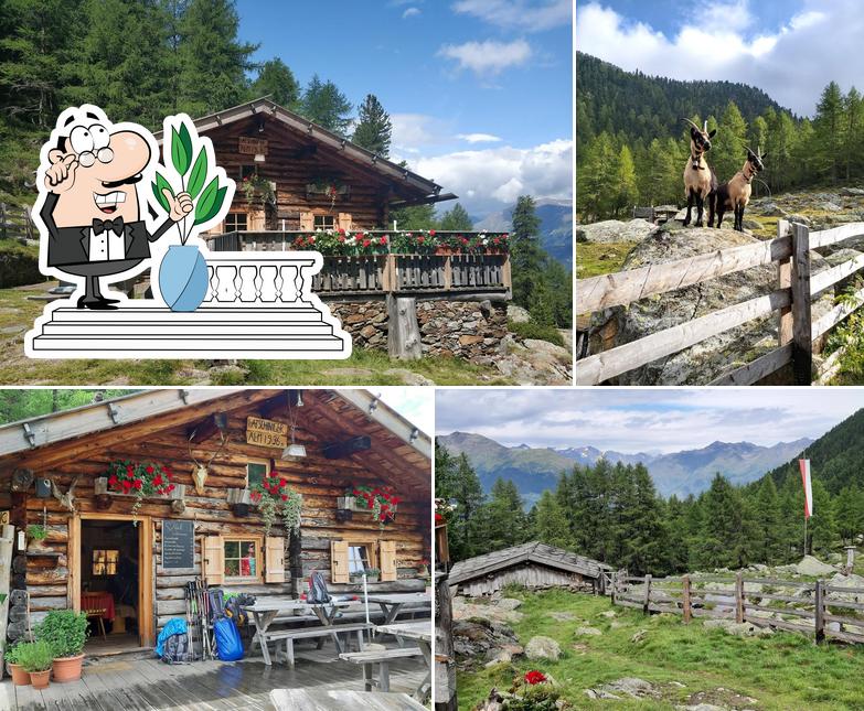 Latschiniger Alm 1936m