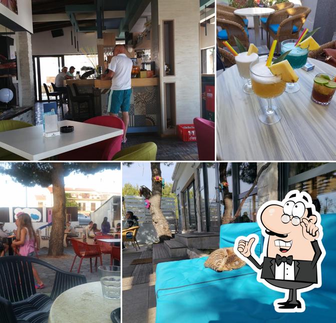 FJAKA BEACH BAR Brodarica Restaurant Reviews fjaka-beach-bar-brodarica-restaurant-reviews
