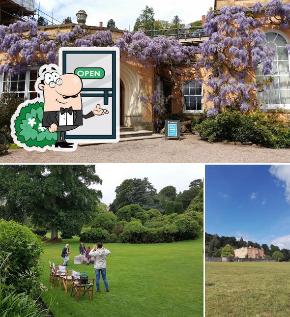 Killerton House Dairy Café in Exeter Restaurant reviews