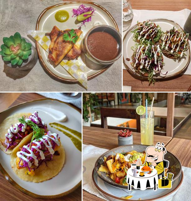 Susegado x Frida Cantina