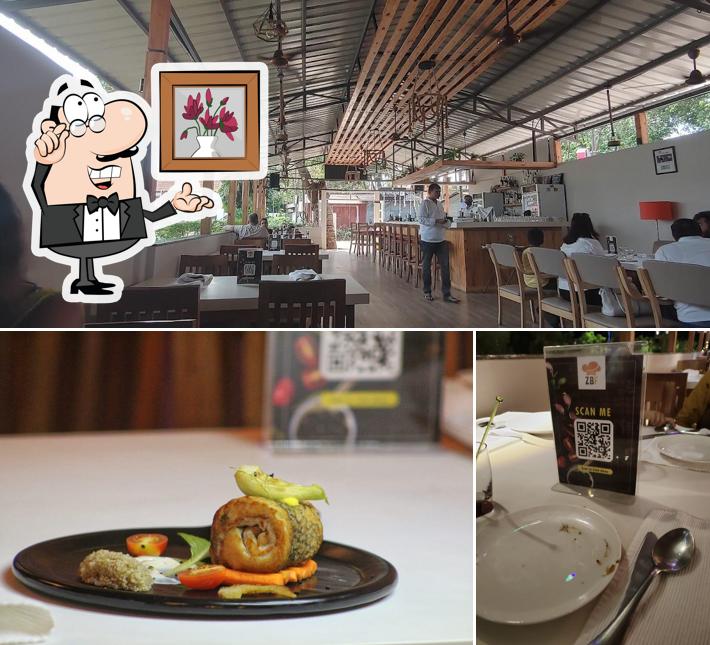 Check out how ZBF Ziggy's By Fame looks inside