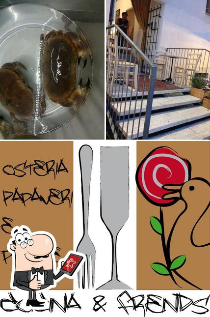 Ecco un'immagine di Osteria Papaveri E Papere Paolo Curzi