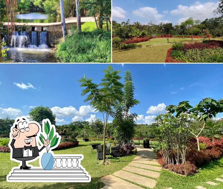 Check out how Big Banyan Vineyard looks outside