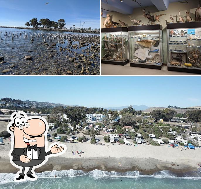 Doheny State Beach Campground in Dana Point