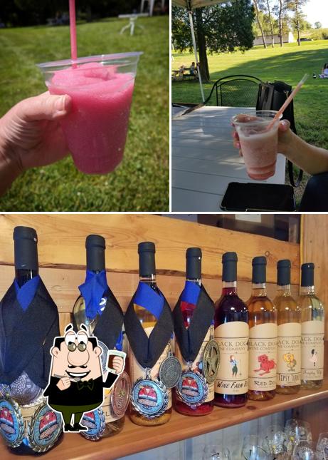 Black Dog Wine Company in Robinson Township Restaurant reviews