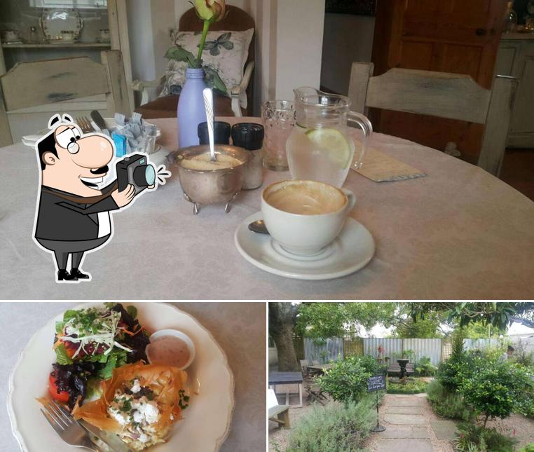 Bayleaf Café restaurant, Restaurantspeisekarten und Bewertungen